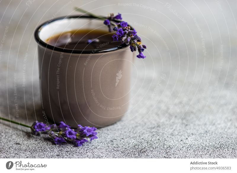 Keramiktasse Kaffee mit Lavendel Getränk schwarz Koffein Beton. Hintergrund Tasse trinken Espresso geblümt Blume Feinschmecker Morgen Becher serviert Sommer