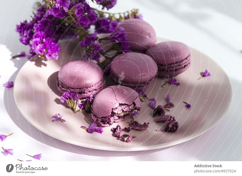 Leckere Makronen neben frischen Blumen Teller Dessert Farbe violett Blumenstrauß Tisch sonnenbeschienen Gebäck süß lecker Haufen Geschmack Konditorei