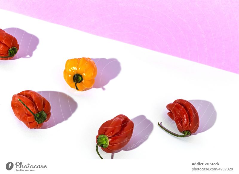 Rote und gelbe frische Paprikaschoten auf dem Tisch einzigartig Konzept rot Single ungewöhnlich reif Gemüse Gesundheit Lebensmittel Bestandteil natürlich