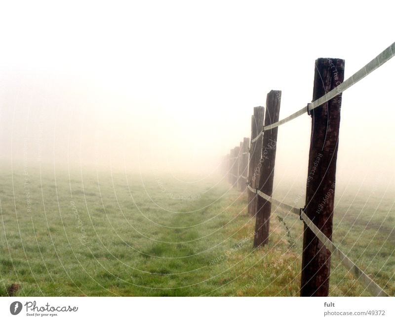 zaun ohne ende Zaun Holz Pfosten Wiese Gras Nebel Morgen Eisenbahnschwelle nebeneinander Seil Reihe