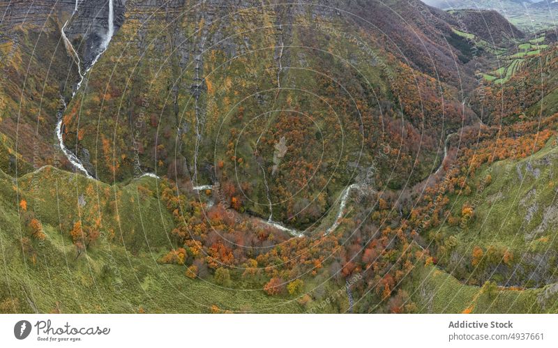Mischwald und kurvenreicher Fluss im Herbst Wald mischen üppig (Wuchs) Kurve Landschaft Wasser Baum schnell strömen Natur Wetter tagsüber Wälder Waldgebiet Bach