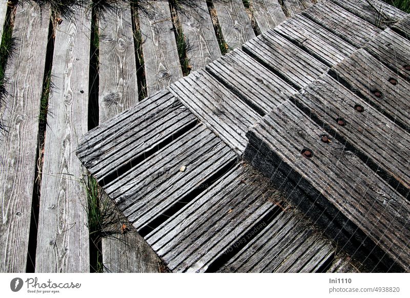 Holzpodest mit Schrauben draußen Waldboden Plattform Podest verwittert Holzbretter Holzsorten gestückelt kurz lang eckig Sockel Podium Absatz Stufen