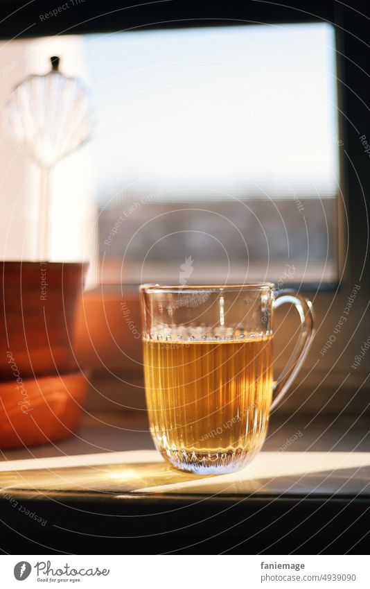 immernoch abwarten und Tee trinken... golden getränk Fensterbank erfrischung Teatime Tasse Glas Stärkung durchsichtig erfrischen Genuss Lifestyle Blumentopf