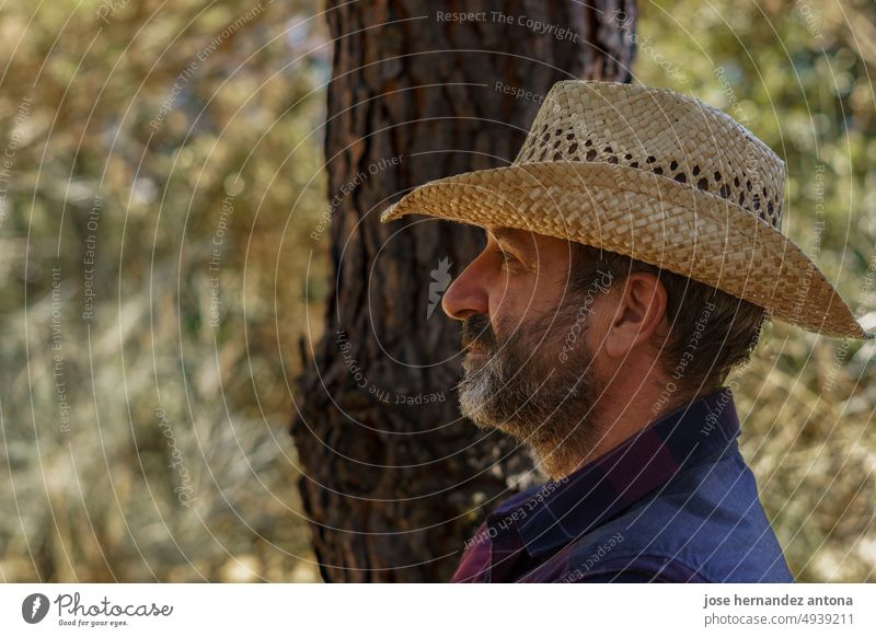 Nahaufnahme eines Mannes mit Bart und Hut im Profil Vollbart Wald Profilansicht Person Porträt Gesicht vereinzelt männlich Hemd gutaussehend Kopfschuss