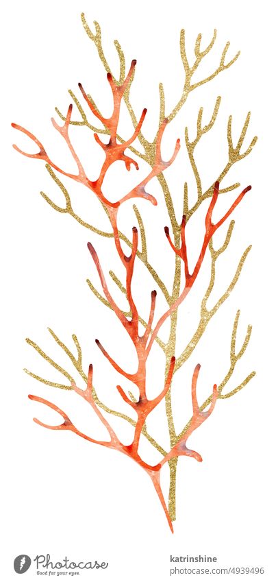 Red Aquarell und goldenen Korallen Illustration, isoliert Element für Strand Hochzeit Design Dekoration & Verzierung Zeichnung exotisch handgezeichnet Feiertag