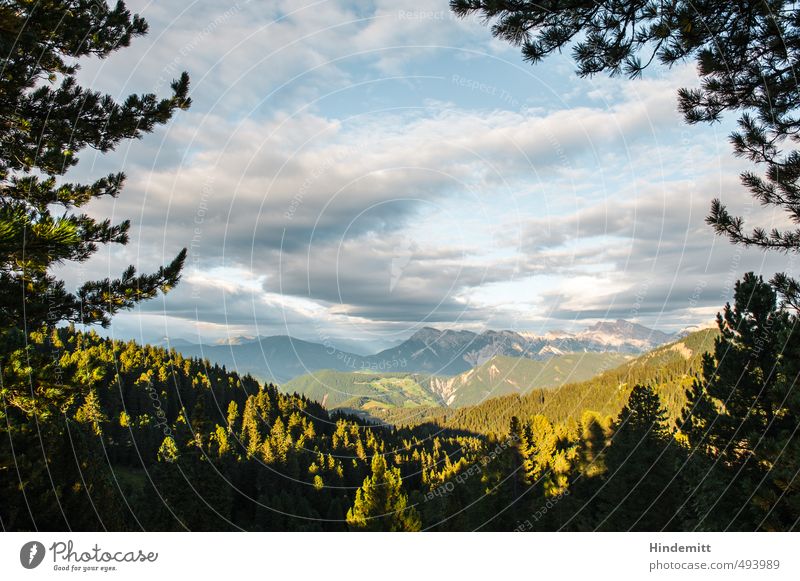 Abend Umwelt Natur Erde Luft Wasser Himmel Wolken Sommer Schönes Wetter Baum Ast Wald Hügel Felsen Alpen Berge u. Gebirge Gipfel Dolomiten hängen gigantisch