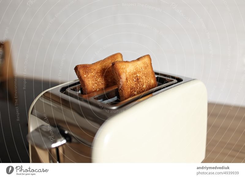 getoastetes Brot in weißem Toaster, geröstetes Sandwich Toast, Konzept der gesunden Ernährung, Diät, Snacking bei der Arbeit, in der Schule, Student Fast Food. Moderne weiße Toaster.