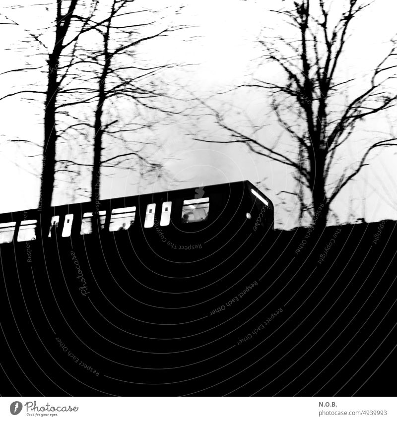 Silhouette eines Zuges vor Bäumen Zugfahrt zugfahren Eisenbahn Bahnfahren Verkehr Ferien & Urlaub & Reisen Schienenverkehr Verkehrsmittel Außenaufnahme