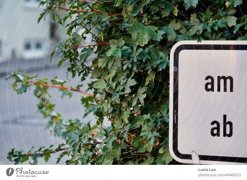 Hinweisschild im Gebüsch temporär befristet Information Hecke grün Schilder & Markierungen Straße Straßenrand kryptisch