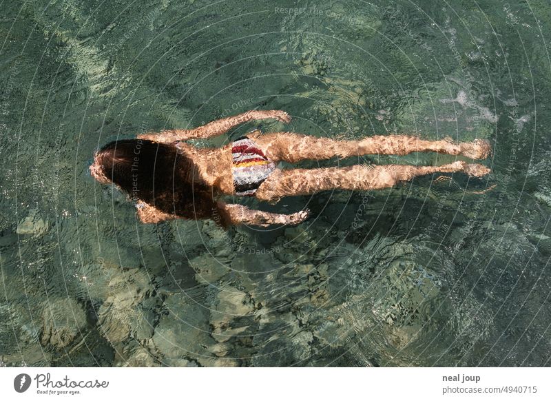 Junge Frau im Bikini schwimmt und taucht durch kristallklares Meereswasser Wasser schwimmen tauchen junge Frau elegant Jugendliche Schwimmen & Baden feminin