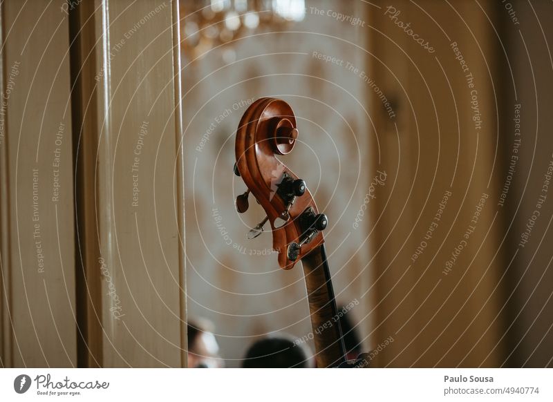 Mann spielt Kontrabass Musik Musiker Musikinstrument Streichinstrumente Saite Konzert Klang Holz musizieren Jazz Schauplatz Ton Musik hören Klassik Nahaufnahme