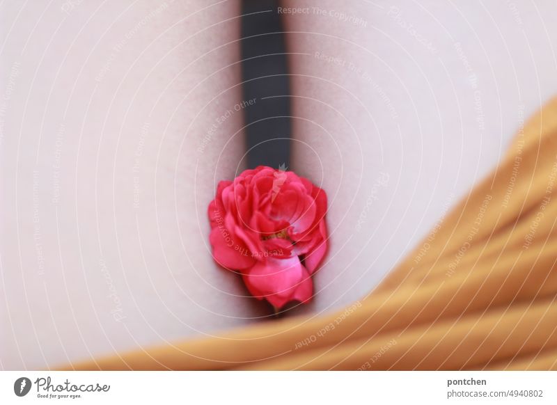Eine pinke rosenblüte zwischen den nackten Oberschenkeln einer frau. Feminin, sinnlich Rose feminin oberschenkel haut helle haut körperteil Beine Körper Frau