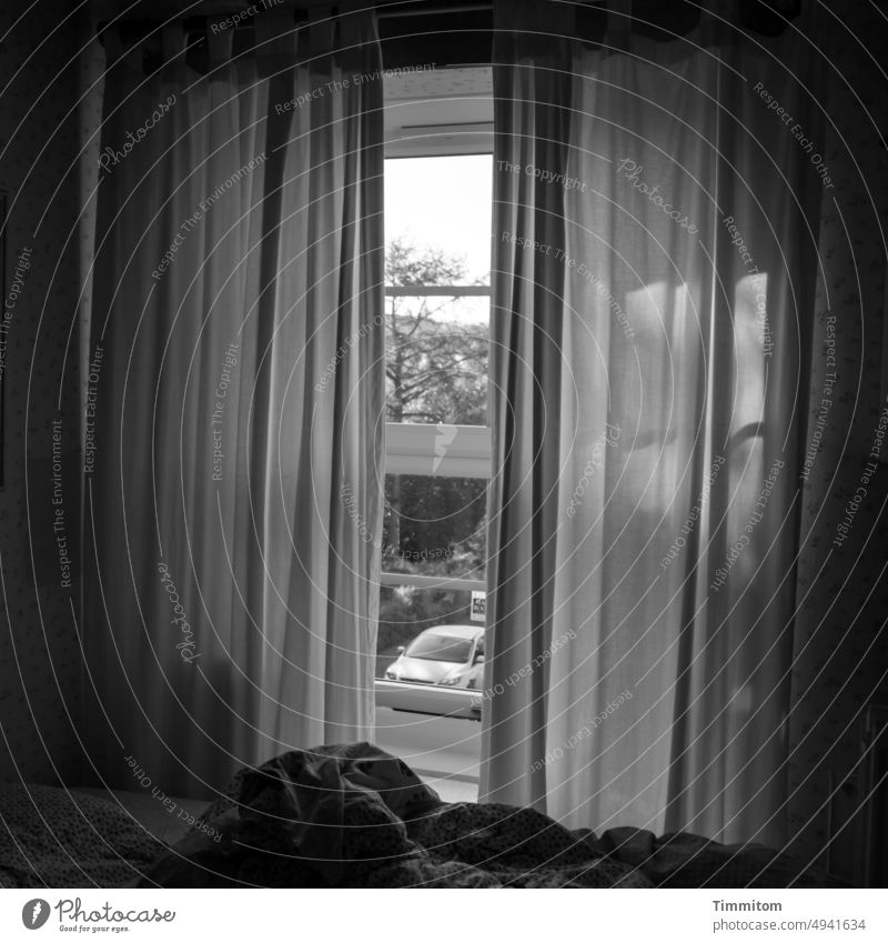 Was macht die Welt da draußen? Fenster Vorhang Fensterblick Fensterglas Innenaufnahme Wohnung Fensterscheibe Licht Bett Bettdecke Menschenleer Schwarzweißfoto