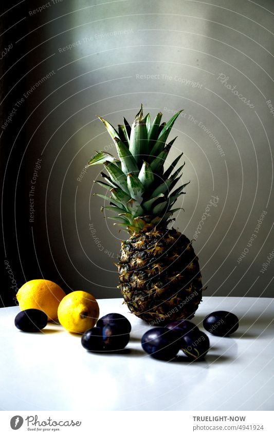 Spätsommer Stillleben mit frischen Vitaminen: Obst, Früchte, Ananas mit Blättern, Zitronen, Pflaumen Steinobst Zitrusfrüchte