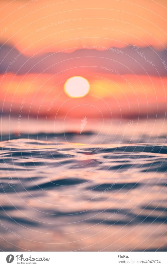 Sonnenuntergang über ruhiger Nordsee Sonnenschein Meer Ozean Ostsee Wasser Wellen Wasseroberfläche blau Küste Strand Natur Himmel Erholung Wellengang