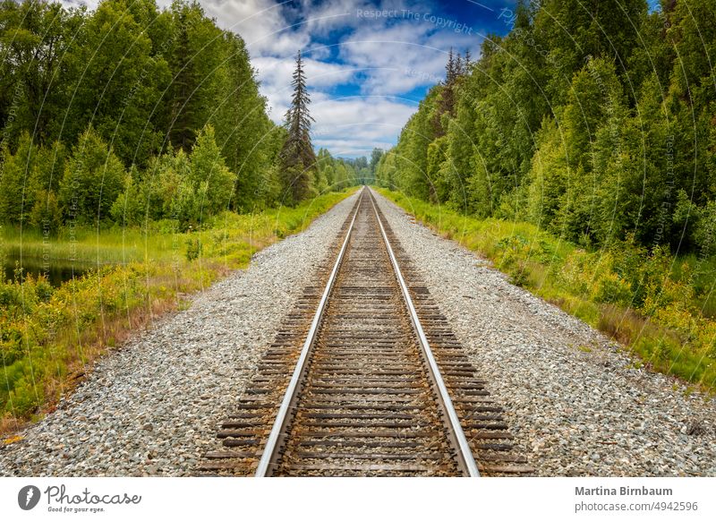 Geradlinig verlaufende Eisenbahnschienen durch die Wildnis Alaskas Reise Zug Himmel Landschaft reisen Bahn bügeln im Freien Transport Sommer Verkehr Schiene