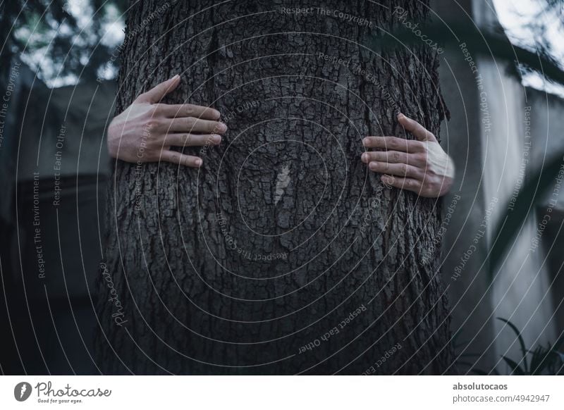 Zwei Hände umarmen einen Baum abstrakt Kunst Menschen Natur nostalgisch im Freien