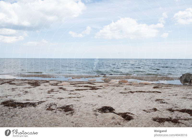 Am Sandstrand mit Blick auf das Meer Strand Meerblick Sommer Sonne Hintergrundbild Urlaub Ostsee Nordsee Norddeutschland Achtsamkeit Einsamkeit Ruhe Stille