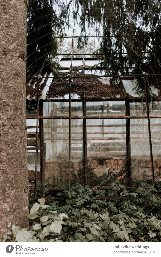 Ein verlassenes Gewächshaus am Waldrand. Zerbrochene Gläser, rostige Metallrahmen, Fenster und Türen. Ruinierte Gebäudestruktur, unheimlich aussehend. Verlassen