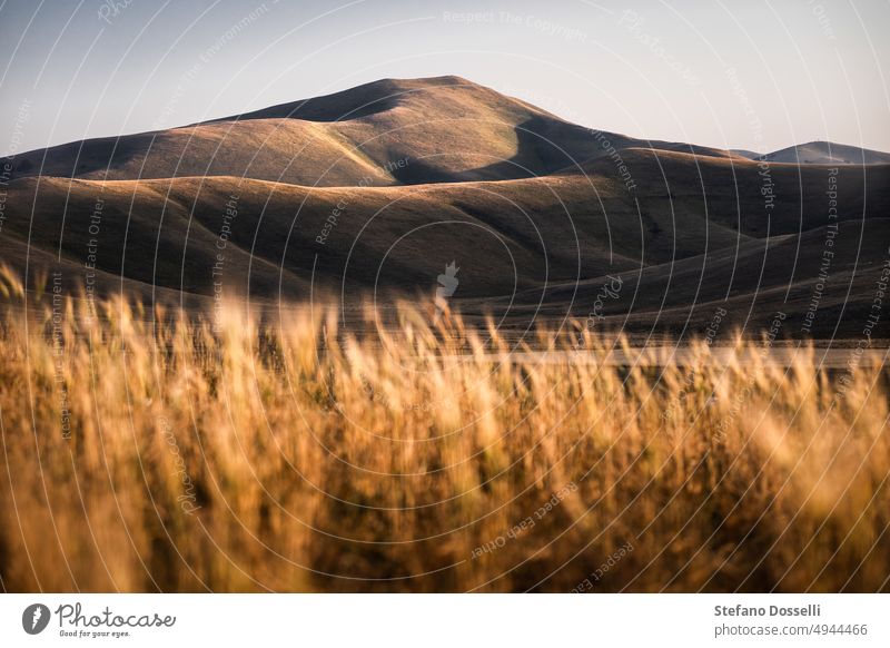 Goldenes Licht in den Weizenfeldern und Hügeln von Castelluccio di Norcia, Mittelitalien Zentralitalien Wolken Kontrast Land Landschaft Morgen auf dem Lande