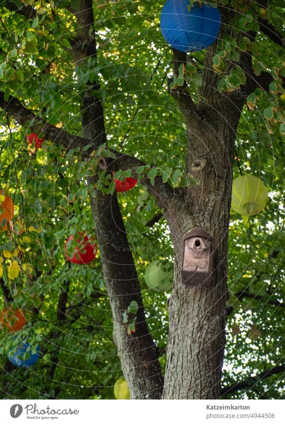 Lampion Dekoration Garten Sommer Dekoration & Verzierung Farbfoto bunt Laterne Papierlaterne Gartendekoration Baum Blätter grün grüne Blätter Vogel