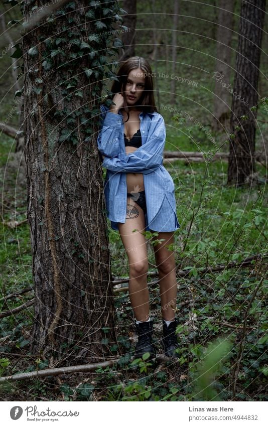 Ein wunderschönes brünettes Mädchen in sexy schwarzen Dessous wandert durch einen dunklen Wald. Sie ist sehr hübsch und flirtet mit einer Kamera. Ein wildes Mädchen in wilden Wäldern.