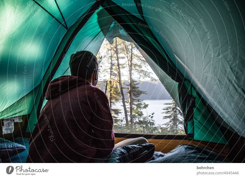 hinterrücks | die schönsten momente sind unerwartet Nordamerika Junge Kind Kindheit British Columbia Abenteuer Wildnis Wald Ausflug Farbfoto Außenaufnahme