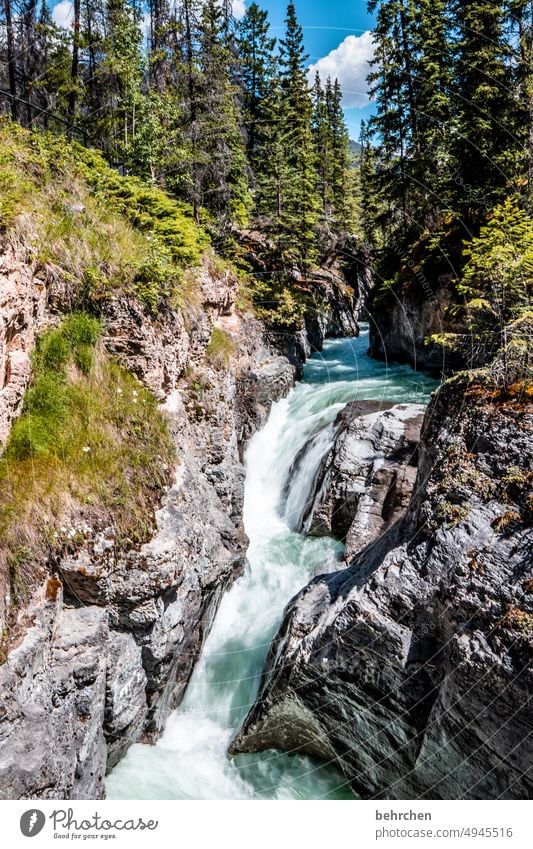 weichspüler | wenn wasser auf fels trifft Flußbett Schlucht Felswand Felsen Wald Nordamerika British Columbia Kanada Fernweh fantastisch beeindruckend Abenteuer