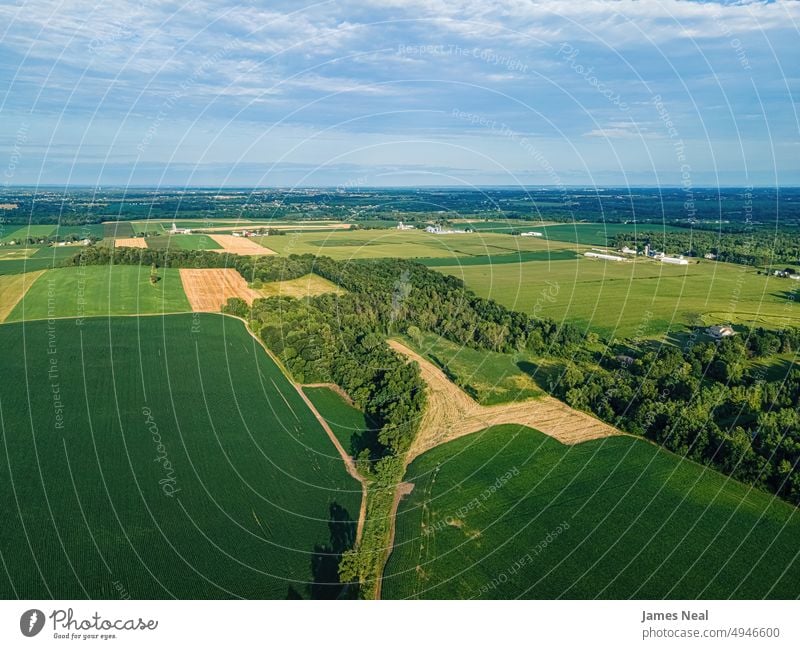 Luftaufnahmen vom sommerlichen Wisconsin Gras sonnig natürlich Natur Tag Wiese Hügel Ackerbau Pflanze Dröhnen nachhaltige Ressourcen Wachstum im Freien Umwelt