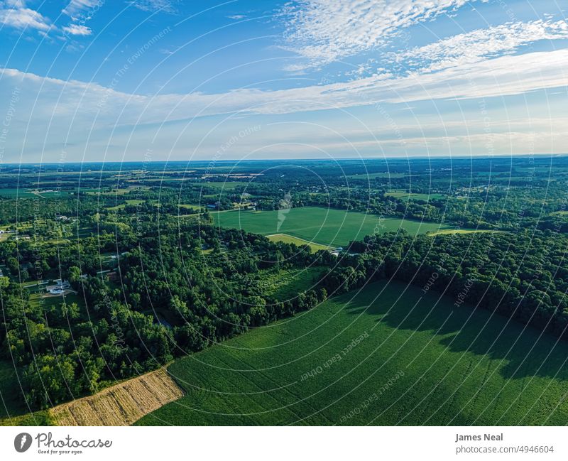 Luftaufnahmen vom sommerlichen Wisconsin Gras sonnig natürlich Natur Tag Wiese Hügel Ackerbau Pflanze Dröhnen nachhaltige Ressourcen Wachstum im Freien Umwelt