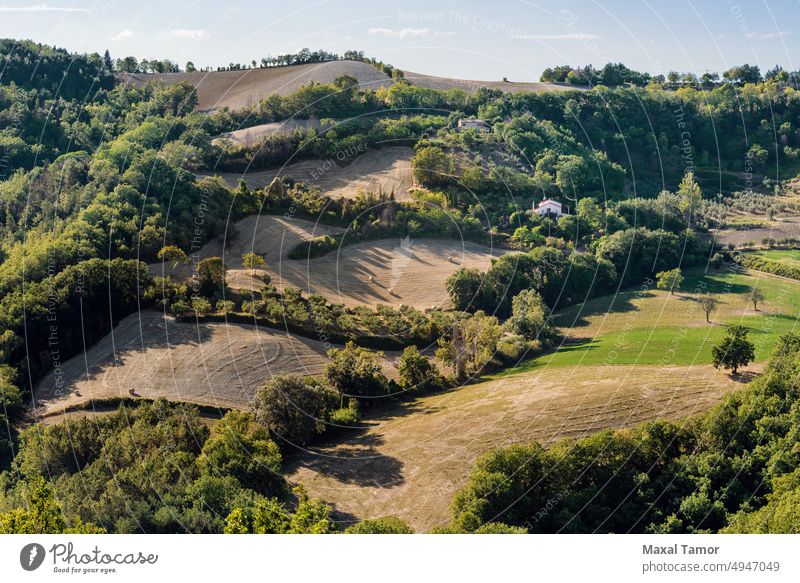 Blick auf die Felder und Bäume in der Nähe von Belvedere Fogliense in der Region Marken in Italien Marche Mondaino Ackerbau Hintergrund blau Wolken Land