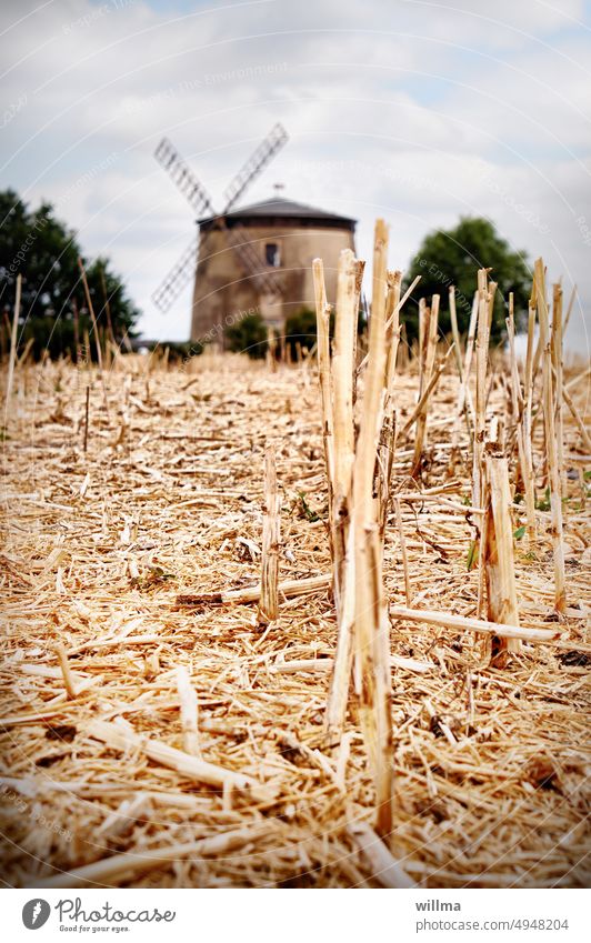 sommerliches Stoppelfeld mit historischer Getreide-Windmühle abgeerntet Stoppeln Getreidemühle Holländerwindmühle Turmholländer Kulturdenkmal Turmwindmühle