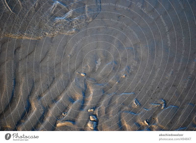 Wavelet Natur Sand Wasser Wellen Küste Strand Ostsee friedlich Gelassenheit Reinheit Einsamkeit einzigartig Erholung Ferien & Urlaub & Reisen Frieden gleich