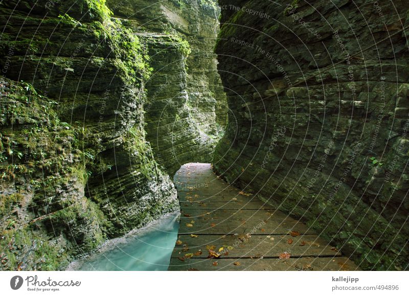 auf dem holzweg Umwelt Natur Landschaft Wasser Felsen Alpen Berge u. Gebirge Schlucht Neugier Ziel Zukunft Holzweg Brücke Bach Slowenien Licht Moos