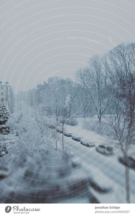 Blick auf verschneite Straße mit geparkten Autos im Winter Ruhe Märchenhaft ruhig stille verträumt Wetter frieren arschkalt bläulich Schneedecke