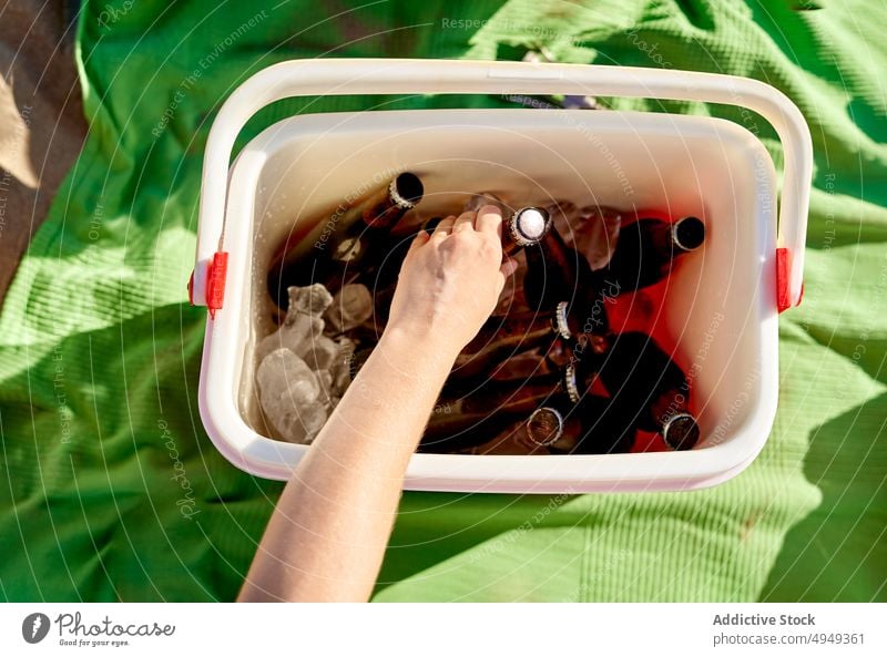 Crop-Frau nimmt Bier aus dem Kühler Picknick Wochenende Sommer kalt Flasche Alkohol frisch Urlaub Getränk Container wählen Schnaps Eis Kasten Truhe Decke Glas