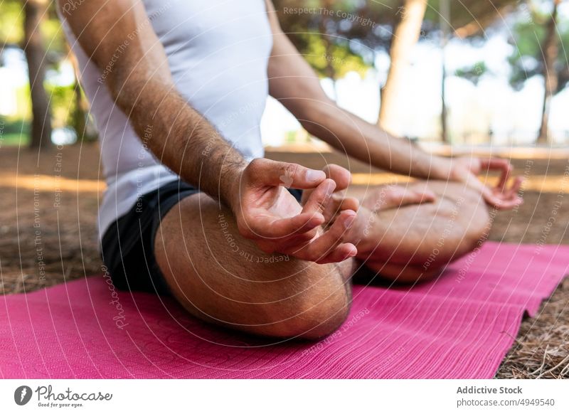 Ein Mann meditiert auf einer Matte im Park meditieren Yoga Sitzung Lotus-Pose gestikulieren Mudra Zen Unterlage männlich Beine gekreuzt Wohlbefinden Vitalität