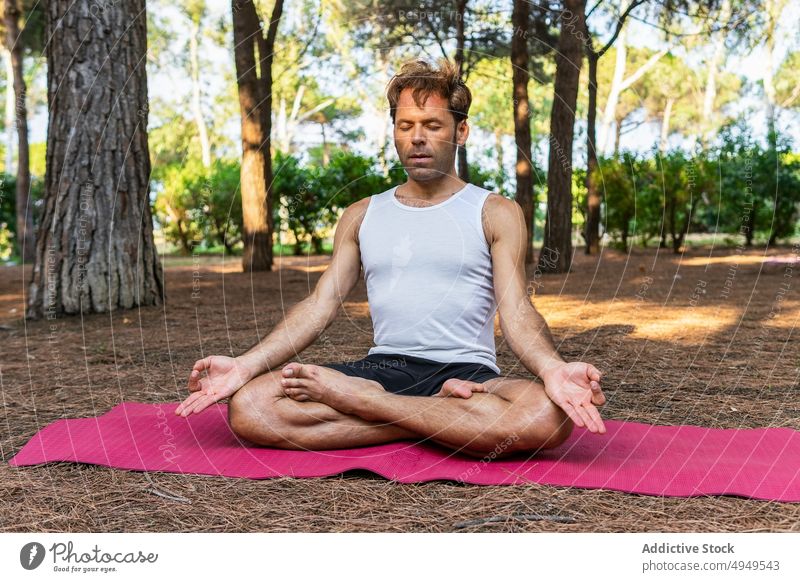 Konzentrierter Mann meditiert auf einer Matte im Park meditieren Yoga Sitzung Lotus-Pose gestikulieren Mudra Zen Unterlage Fokus männlich Augen geschlossen