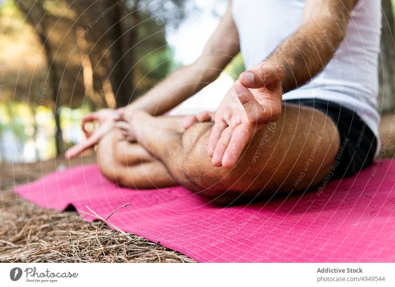Ein Mann meditiert auf einer Matte im Park meditieren Yoga Sitzung Lotus-Pose gestikulieren Mudra Zen Unterlage männlich Beine gekreuzt Wohlbefinden Vitalität