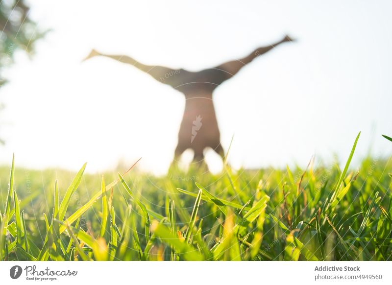 Grünes Gras in der Nähe von Mann macht Yoga Rasen Sitzung Park Kopfstand Asana Zen Gleichgewicht Harmonie tagsüber Dehnung üben Gelassenheit Vitalität