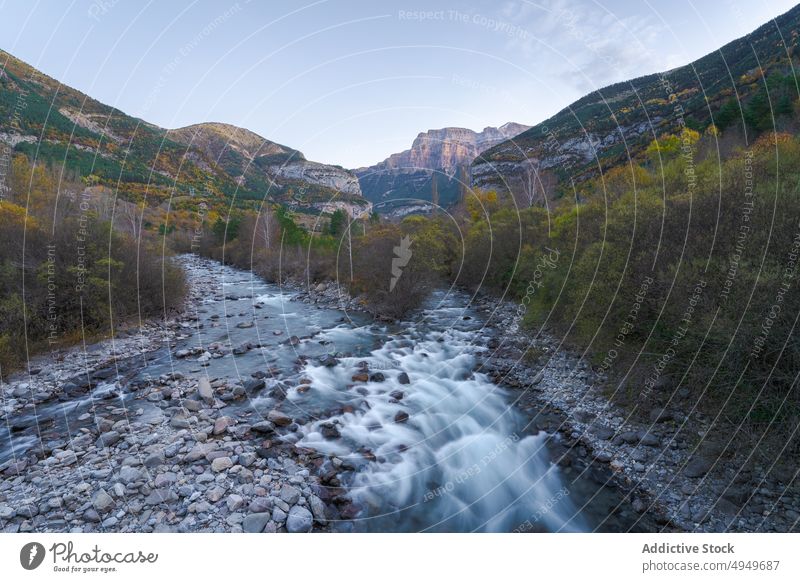 Bergfluss im Herbstabend Berge u. Gebirge Fluss Abend Baum Wasser strömen üppig (Wuchs) Wolkenloser Himmel Landschaft Huesca Spanien ordesa y monte perdido