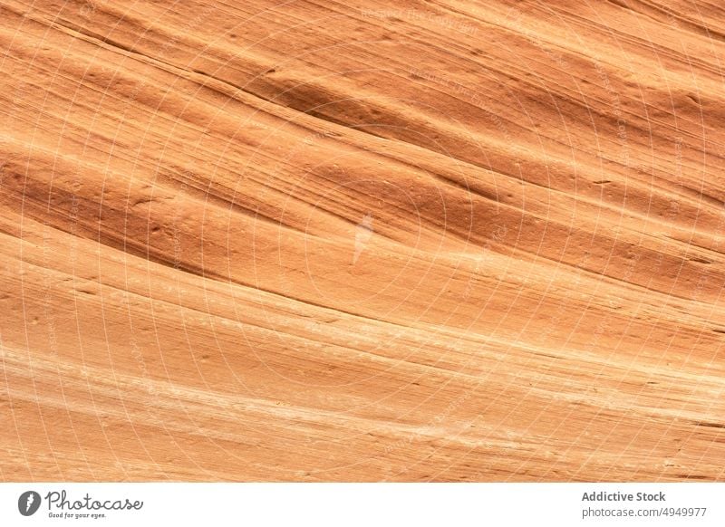 Sandsteinwand der Schlucht Klippe Oberfläche Wand uneben Textur Hintergrund kleiner Wildpferd-Canyon Utah USA Vereinigte Staaten amerika tagsüber Formation