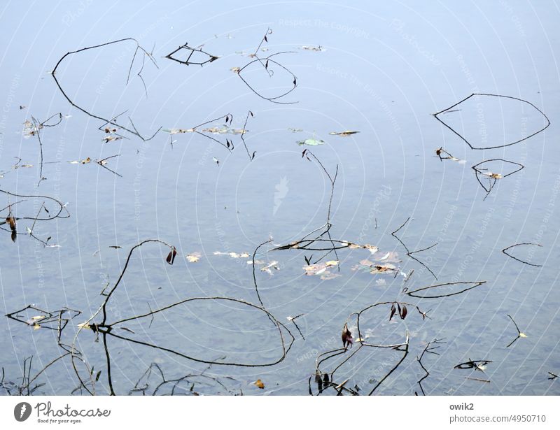 Dünn besiedelt See Striche Linien viele dünn reduziert abstrakte Fotografie minimalistisch geheimnisvoll rätselhaft einfach friedlich ruhig Idylle Landschaft