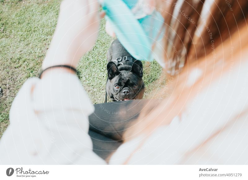Junge Frau mit ihrem Hund Französische Bulldogge gibt ihm Wasser zu erfrischen nach einem Spaziergang, Porträtbild. Haustier-Konzept. Die Pflege des Mannes bester Freund. Frau nimmt seinen Hund zu einem Spaziergang an einem sonnigen Tag