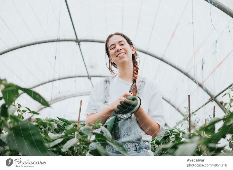 Porträt einer glücklichen und positiven jungen erwachsenen Frau, die im Gewächshaus arbeitet, während sie Handschuhe benutzt, um Gemüse anzubauen. Nachhaltigkeit und gesundes Essen Konzept. Bio-Öko. Bio-Rohprodukte aus eigenem Anbau