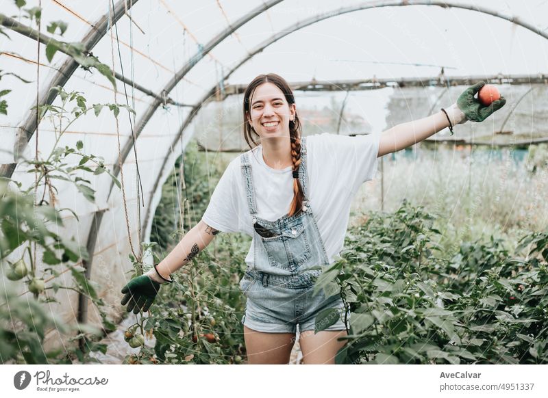 Porträt einer glücklichen und positiven jungen erwachsenen Frau, die im Gewächshaus arbeitet, während sie Handschuhe benutzt, um Gemüse anzubauen. Nachhaltigkeit und gesundes Essen Konzept. Bio-Öko. Bio-Rohprodukte aus eigenem Anbau