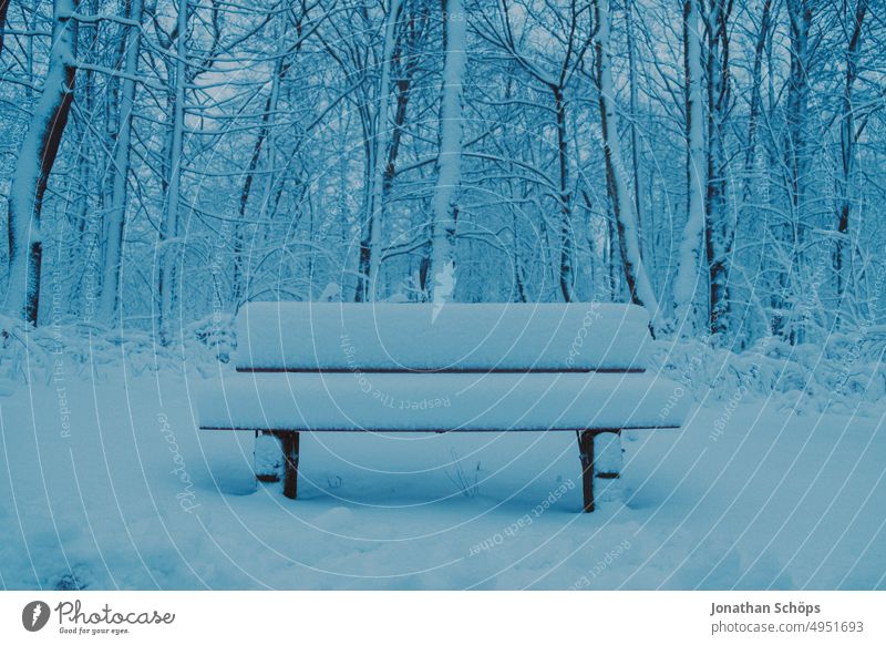 mit Schnee bedeckte Bank im Winterwald Sitzbank Winterspaziergang Kälte Jahreszeiten Bäume Schneelandschaft Umwelt Menschenleer winterlich Natur Landschaft