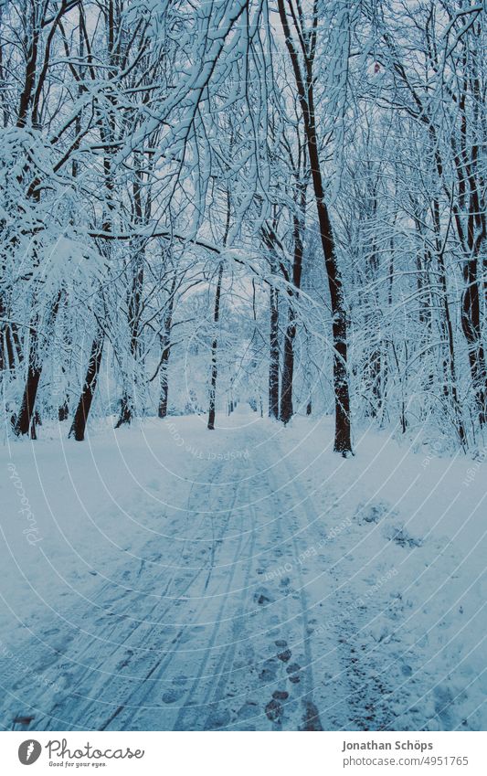 Waldweg Winterwald Lanschaft mit Schnee Bäume Weg Winterspaziergang Kälte Jahreszeiten Schneelandschaft Umwelt Menschenleer winterlich Natur Landschaft