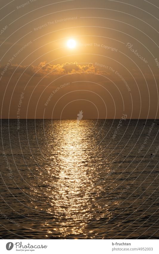 Sonnenuntergang über dem Meer Adria adriatisch Kroatien Wasser Ferien & Urlaub & Reisen Landschaft Himmel Reisefotografie Tourismus Idylle Mittelmeer Sommer