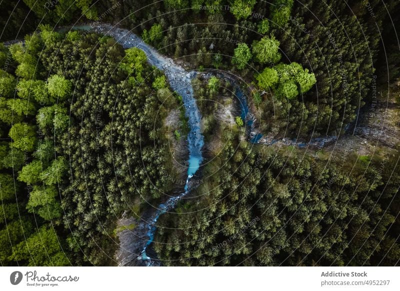 Bach, der durch einen Wald mit Bäumen fließt Wälder Wasser Baum Pflanze Natur Waldgebiet strömen Umwelt grün Landschaft Spanien vegetieren Sommer fließen